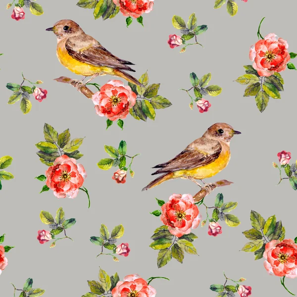 Pretty repeats pattern with brier and birds — Stok fotoğraf