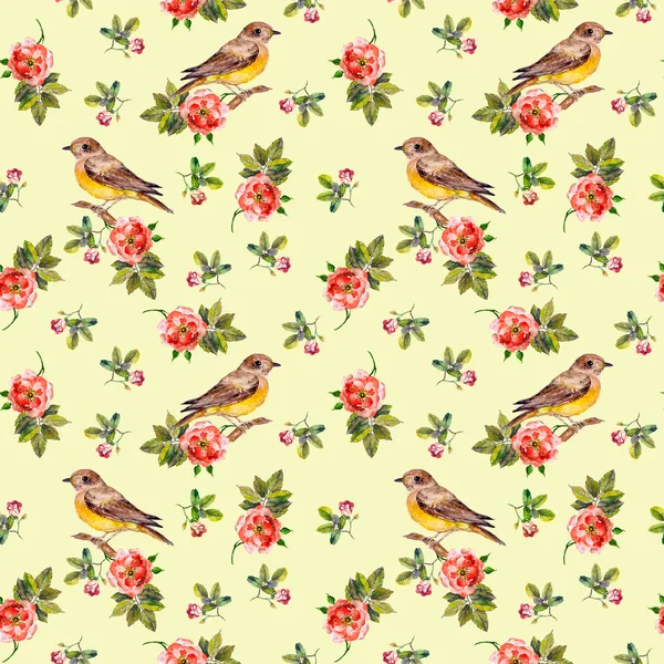 Seamless vintage floral pattern with cute birds — Stockfoto