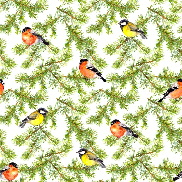 Seamless background with bullfinches, tits and fir branches — Stock Photo, Image
