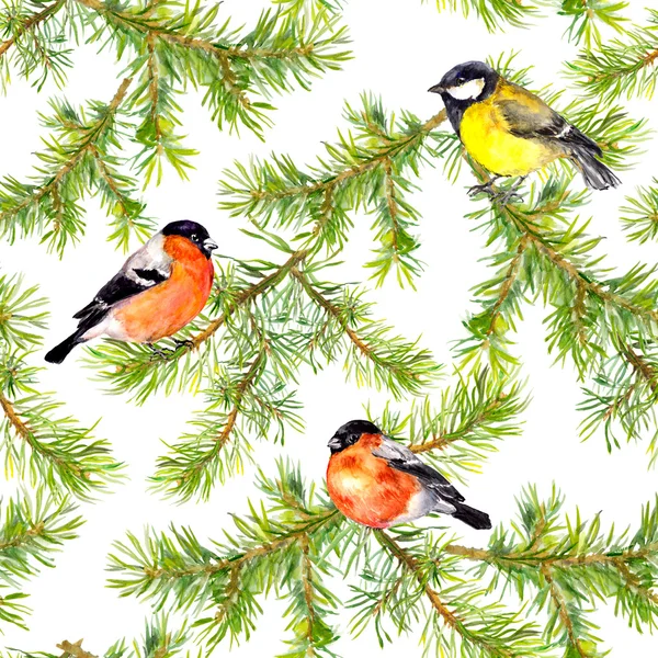 Seamless background with bullfinches, tits and fir branches — Stock Photo, Image