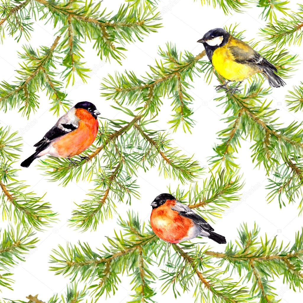 Seamless background with bullfinches, tits and fir branches