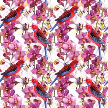 Exotic floral pattern - parrot bird, blooming orchid flowers