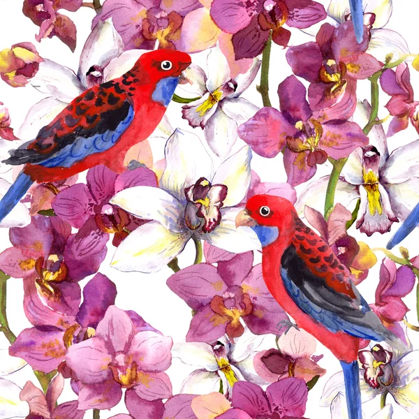 Exotic floral pattern - parrot bird, blooming orchid flowers — Zdjęcie stockowe