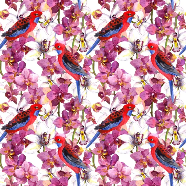 Exotic floral pattern - parrot bird, blooming orchid flowers — Stock fotografie