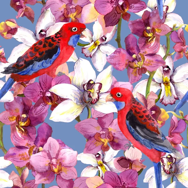 Exotic floral pattern - parrot bird, blooming orchid flowers — ストック写真