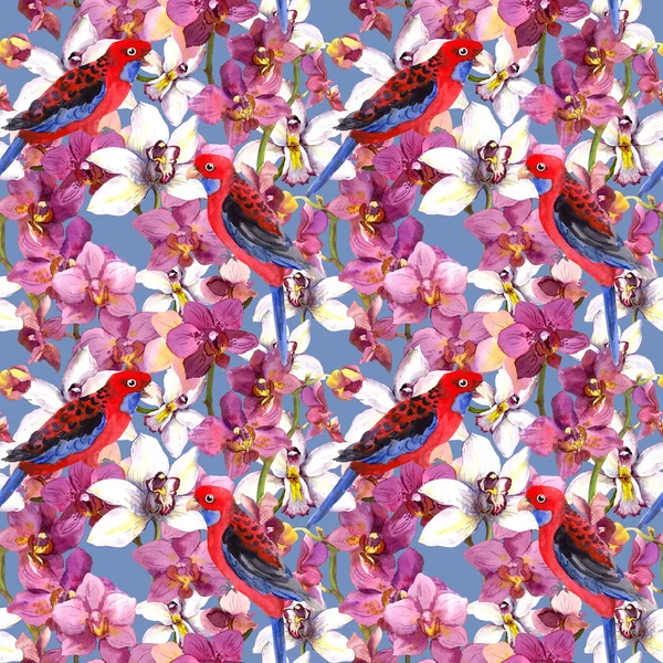 Exotisches Blumenmuster - Papageienvogel, blühende Orchideenblumen — Stockfoto