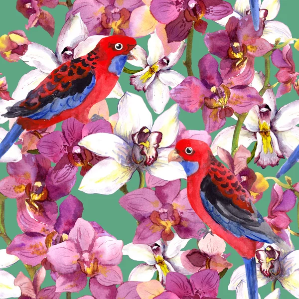 Exotic floral pattern - parrot bird, blooming orchid flowers — Φωτογραφία Αρχείου