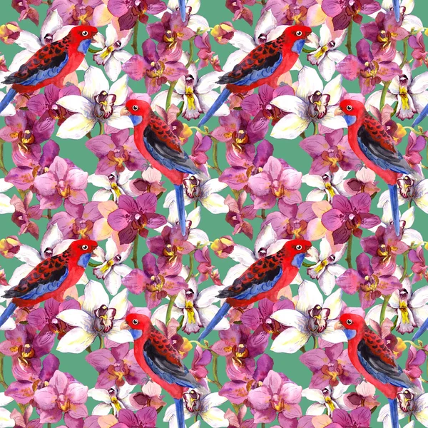 Exotic floral pattern - parrot bird, blooming orchid flowers — Φωτογραφία Αρχείου