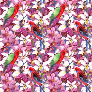 Exotic floral pattern - parrot bird, blooming orchid flowers