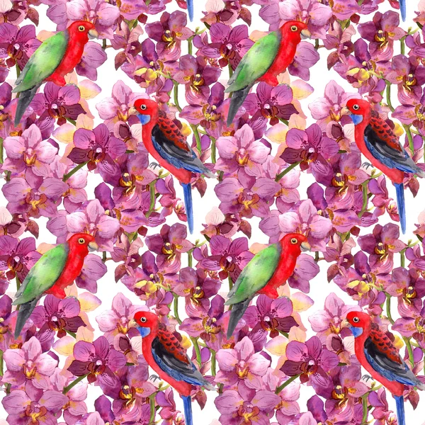 Padrão floral exótico - pássaro de papagaio, flores de orquídea florescendo — Fotografia de Stock