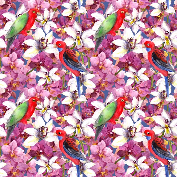 Exotic floral pattern - parrot bird, blooming orchid flowers — Φωτογραφία Αρχείου