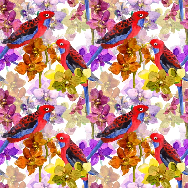 Motif floral exotique - oiseau perroquet, fleurs d'orchidée en fleurs — Photo