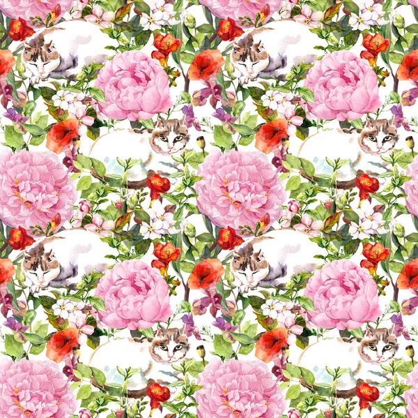 Cat sleeping in grass and flowers. Floral seamless pattern — Stock fotografie