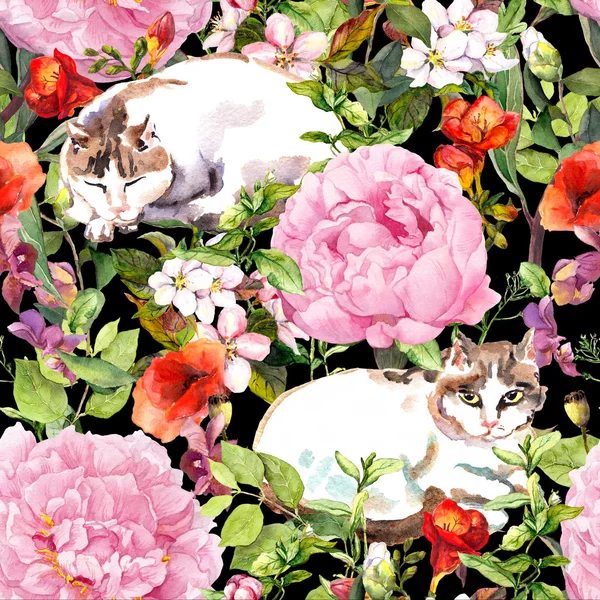 Gatos deitados em relva e flores. Padrão sem costura floral para design de moda. Aquarela — Fotografia de Stock