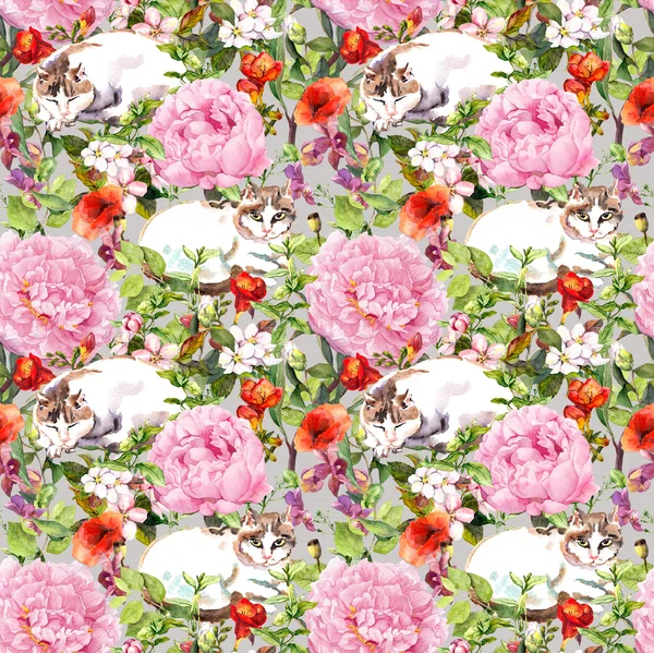 Gatos acostados en hierba y flores. Patrón sin costura floral. Acuarela —  Fotos de Stock