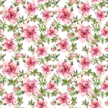 Pembe çiçekler. Sorunsuz tekrarlanan çiçek renk örneği. Beyaz arka plan üzerinde Aquarelle resim