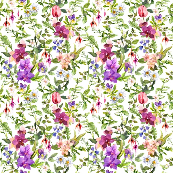 Szag vadvirágok és a vadon élő gyógynövények. Varrat nélküli virágos mintával. Akvarell — Stock Fotó