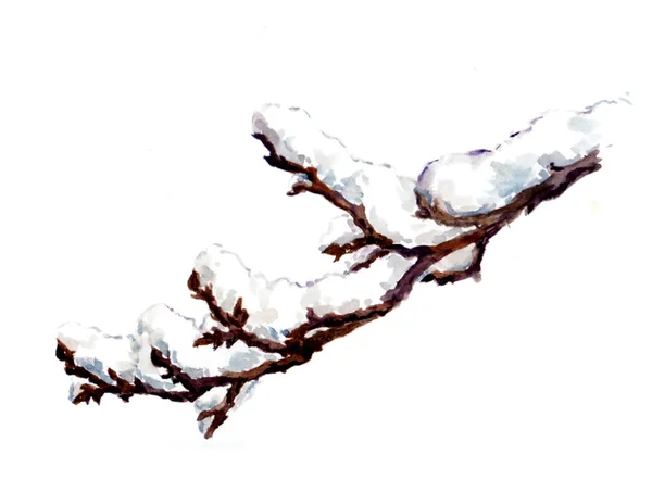 Branche d'hiver avec neige — Photo