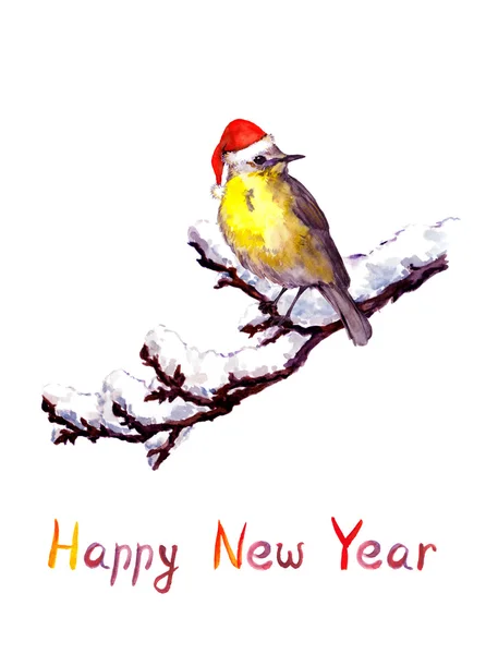 Biglietto di Natale - uccello in cappello rosso a ramo con neve. Acquerello — Foto Stock