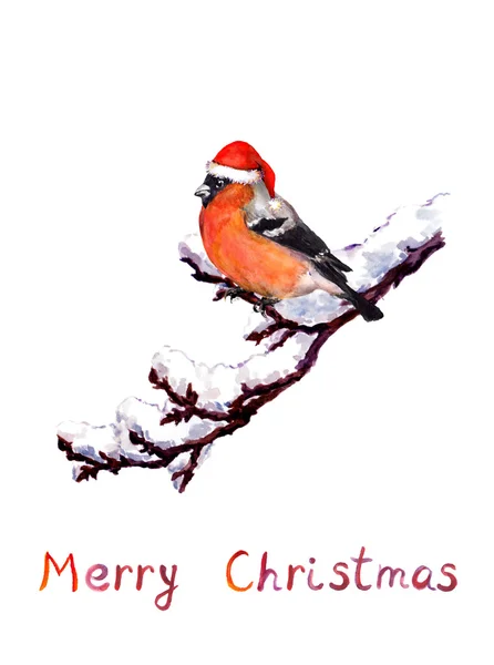 Christmas card - bird in red hat at branch with snow. Watercolor — Stock Photo, Image