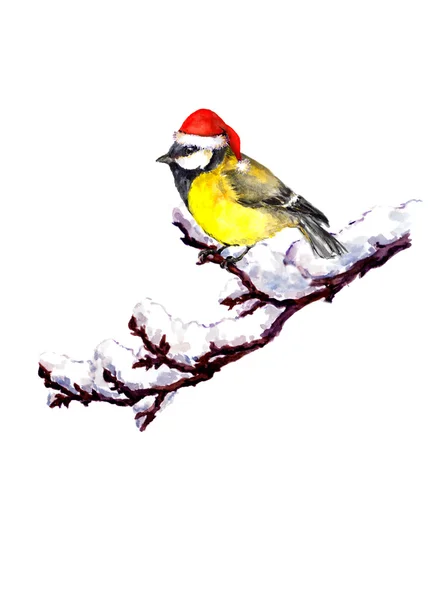 Cute Xmas blue tit in red Santa hat — Zdjęcie stockowe