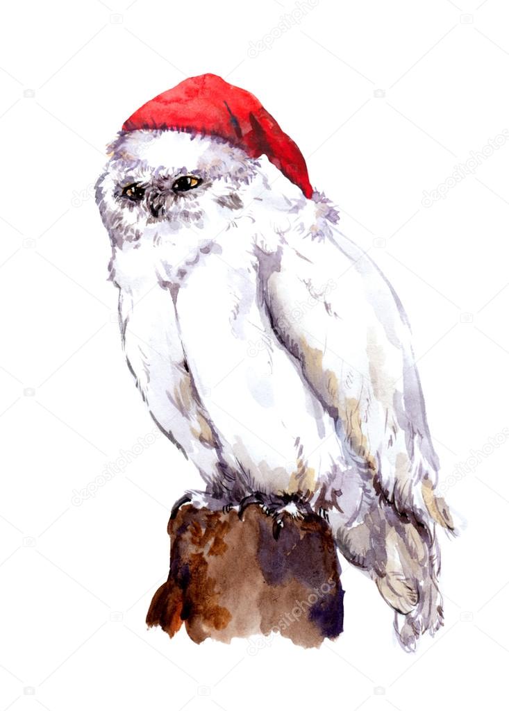 New year white owl bird in red santas hat. Watercolour