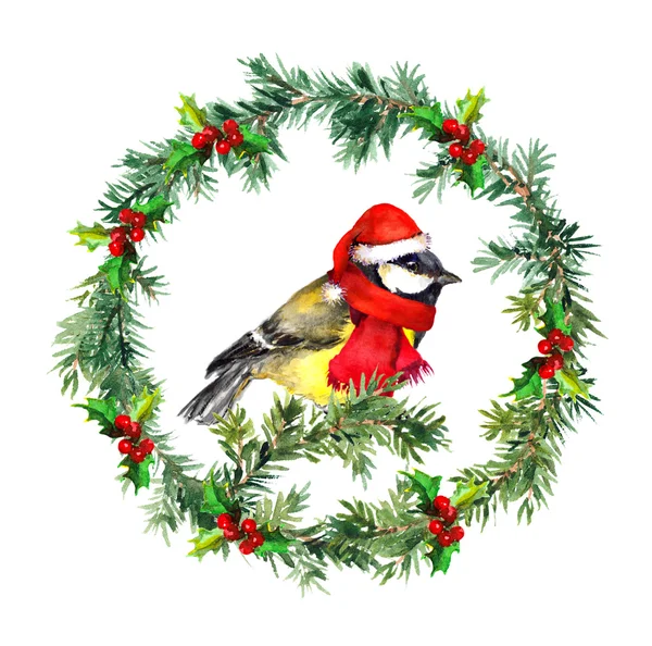 Christmas wreath - fir, mistletoe and tit bird in red hat. Watercolor — Stock Photo, Image