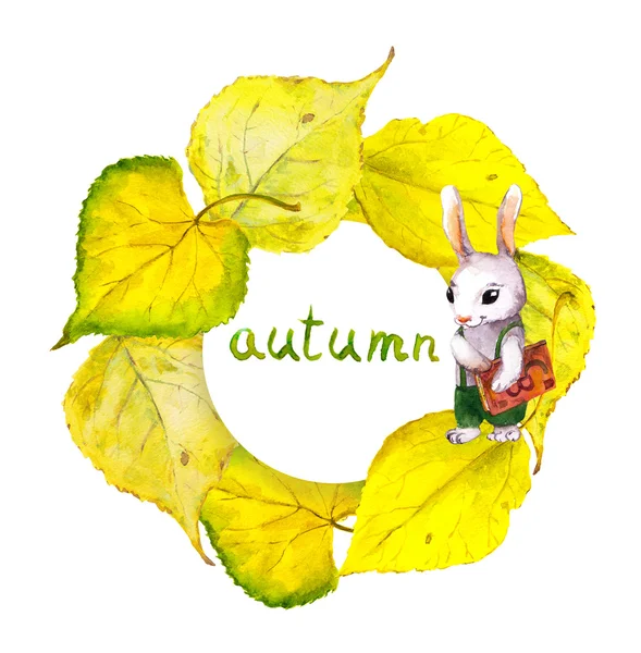 Bingkai rangkaian musim gugur dengan kelinci sekolah dan daun kuning — Stok Foto