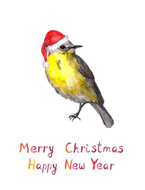 Kuş kırmızı Noel Baba şapkası. Suluboya Noel tebrik kartı