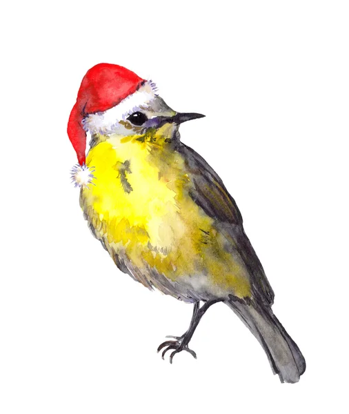 Vogel mit roter Weihnachtsmütze. Weihnachtsaquarell — Stockfoto