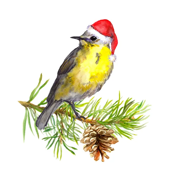 Vogel mit roter Weihnachtsmütze auf dem Weihnachtsbaum. Aquarell — Stockfoto