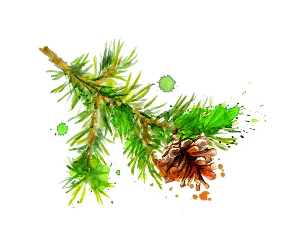Fenyő fa ág és lucfenyő cone, csepp, akvarell — Stock Fotó