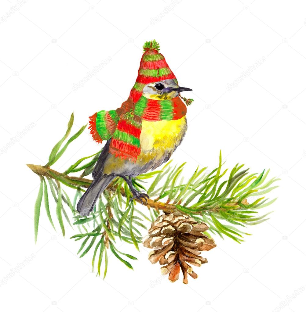 Bird on fir tree branch with pine cone. Water colour