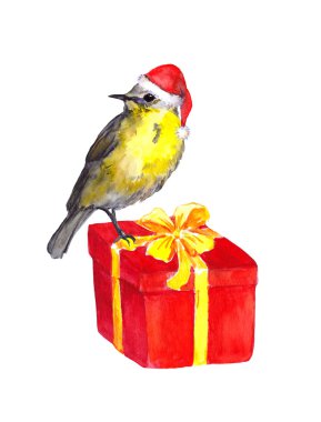 Kuş kırmızı Noel hediye kutu kırmızı santa şapka. Suluboya
