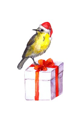 Yeni yıl hediye kutu kırmızı fiyonklu kırmızı santa şapka kuş.