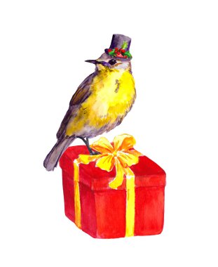Kuş kırmızı mevcut kutusunda Noel ökseotu ile. Suluboya
