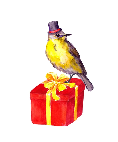 Pájaro retro en sombrero de copa vintage en caja de regalo roja. Acuarela —  Fotos de Stock