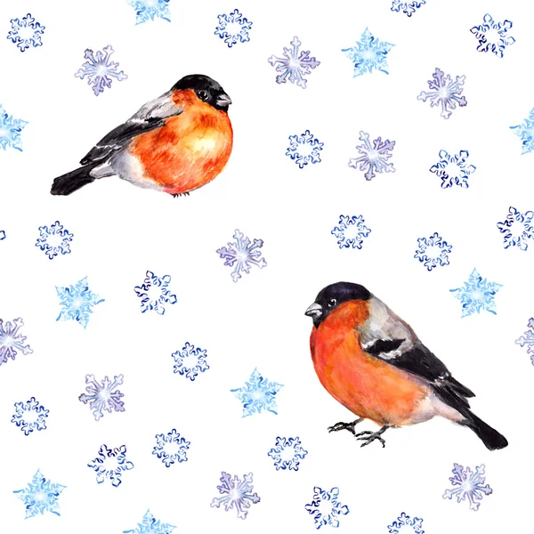İki kuş bullfinches karda ile sorunsuz döşenmiş desen — Stok fotoğraf