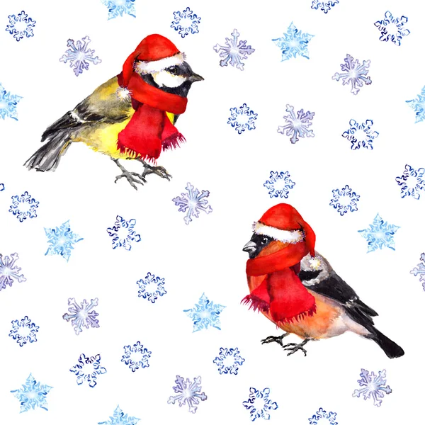 Seamless pattern with snowflakes and christmas birds in red hats — Stock Photo, Image