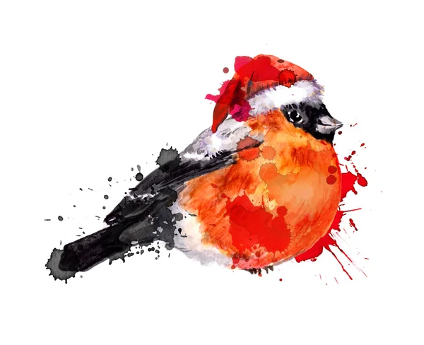Акварель зимняя птица - буллфинч, акварель раскрашена вручную — стоковое фото