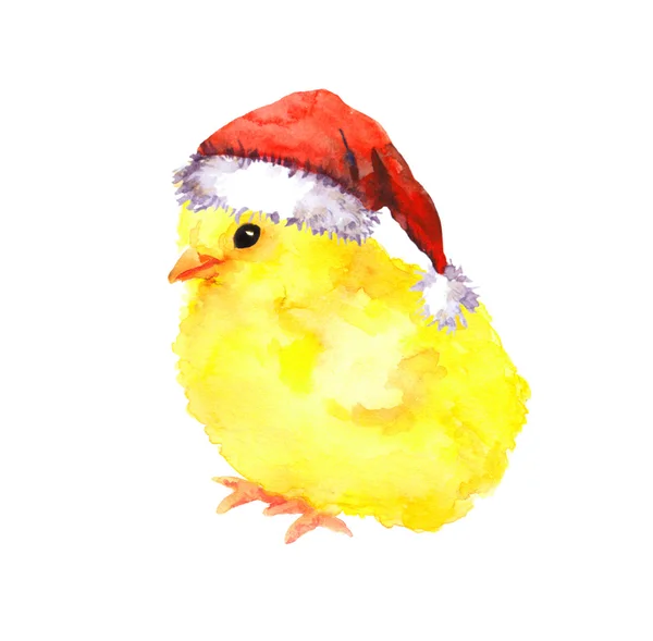 New year baby chicken in red santas hat. Watercolour bird — Stock Photo, Image