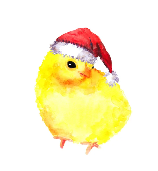 新的一年婴儿鸡在红色的圣诞老人帽子。水彩画鸟 — 图库照片