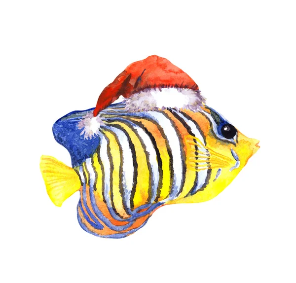 快乐性格圣诞异国热带小鱼在红色的圣诞老人帽子. — 图库照片