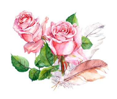 Pembe Gül ve tüy. Suluboya