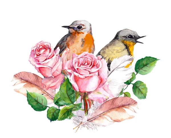 Rose, vogels en veren. Aquarel — Stockfoto