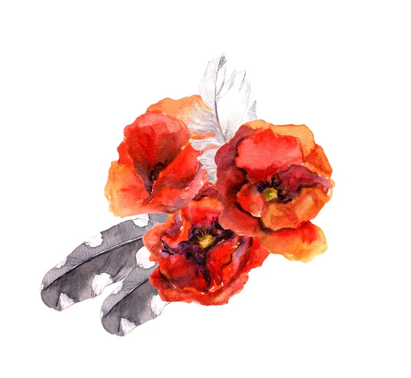 Aquarelle fleur de pavot et plume. Aquarelle florale — Photo