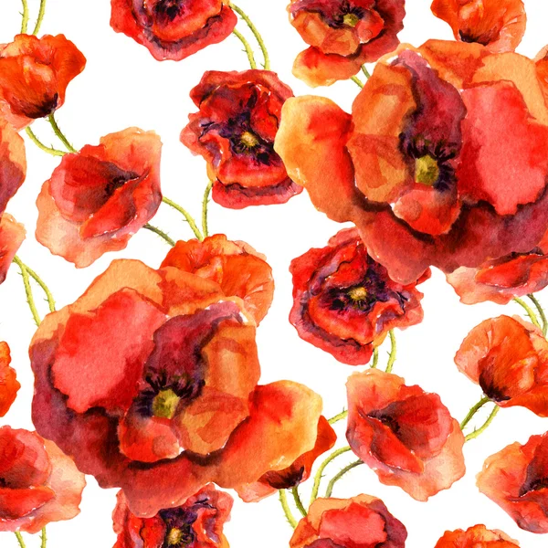 Seamless floral wallpaper with colorful poppies. Watercolor painting — Stock Photo, Image