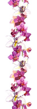 Floral seamless strip border with exotic flowers orchid. Watercolour