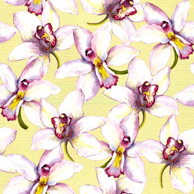Seamless floral background with white orchid flower. Hand painted watercolor drawing