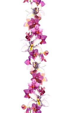 Floral seamless strip border with exotic flowers orchid. Watercolor